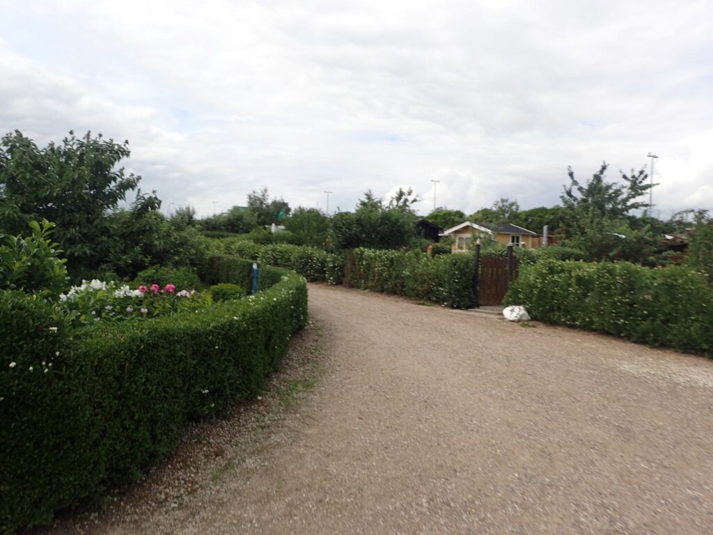 På Signalvej, som også hører til Gladsaxe Bys markjorder, ligger en helt speciel haveforening ved navn Signalhaverne. Her er 22 nyttehaver, hver med 200 kvadratmeter jord. Signalhaverne er såkaldte minihaver – et koncept, hvor hver havelod er mindre end i traditionelle kolonihaver, men stadig stor nok til at dyrke grøntsager, frugt og blomster.